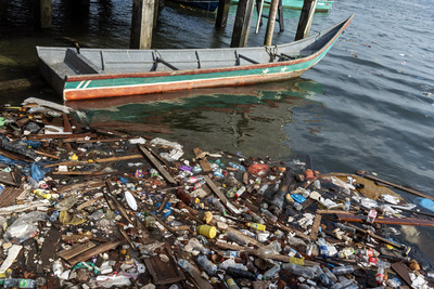 COLOMBIA: Filtros elaborados con cáscara de coco limpian contaminantes del agua