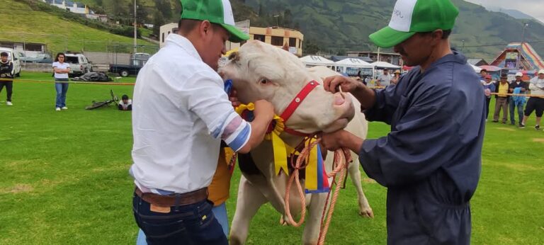 ECUADOR: AGLYG advierte riesgos tras archivo de ley animal