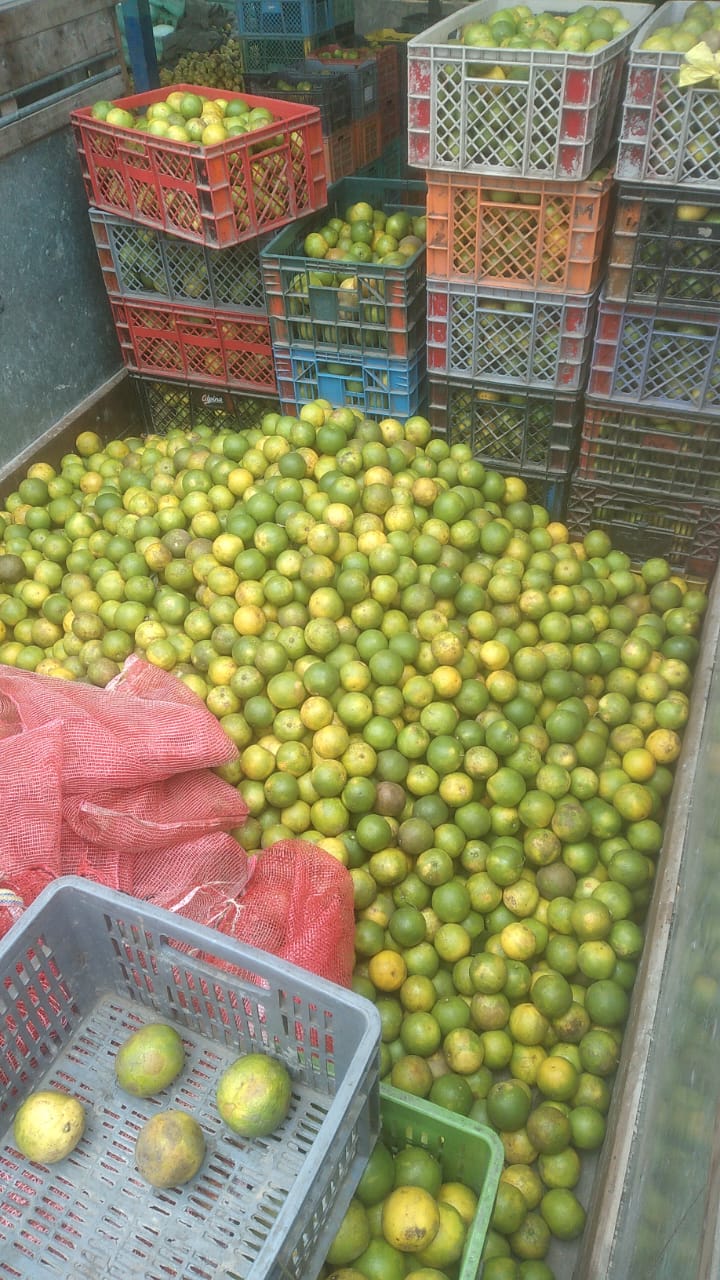 ECUADOR: Productores de mandarina de Chone solicitan apoyo para construir planta procesadora de fruta