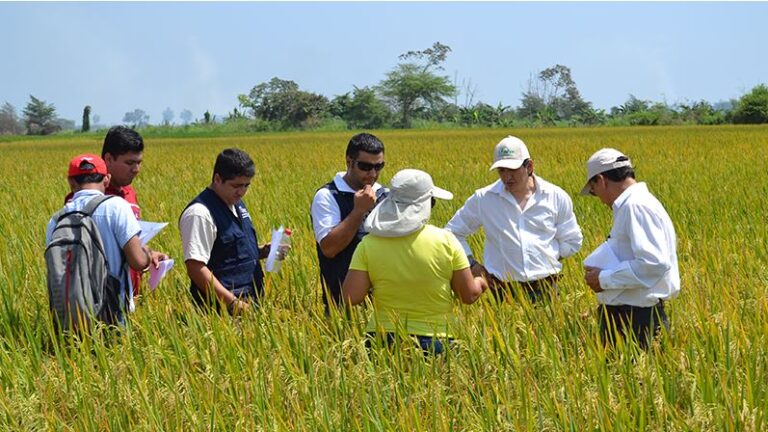 ECUADOR: APCSA reconocerá a destacados profesionales del sector agropecuario en Guayaquil