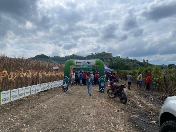 ECUADOR: Tecnología y semillas híbridas impulsan la productividad del maíz en Pedro Carbo