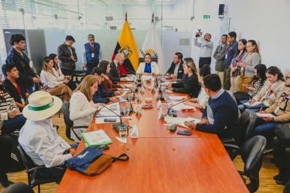 ECUADOR: Plátano busca su espacio en la legislación