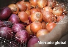 Resumen del mercado global de la cebolla