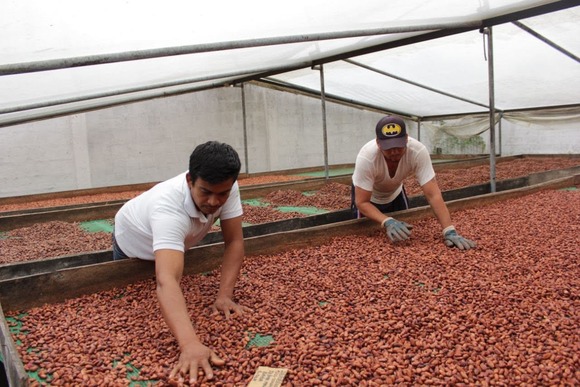 ECUADOR: Inicia entrega de incentivos para dinamizar el campo