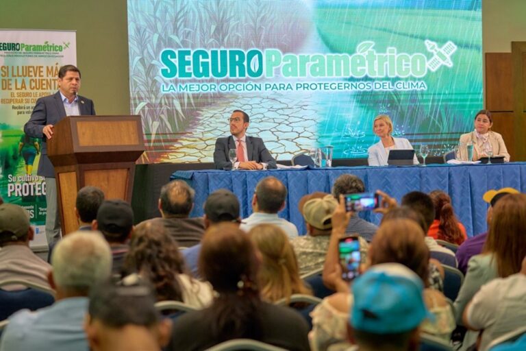 Ecuador prueba seguro paramétrico para arroz y maíz