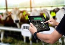 Ganadería extensiva en España: tradición, tecnología y conservación del territorio