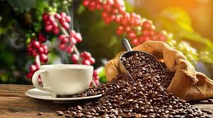 El café colombiano recupera protagonismo y se consolida como motor del comercio exterior