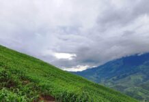 Producción agrícola y turismo rural se conectan en una nueva iniciativa