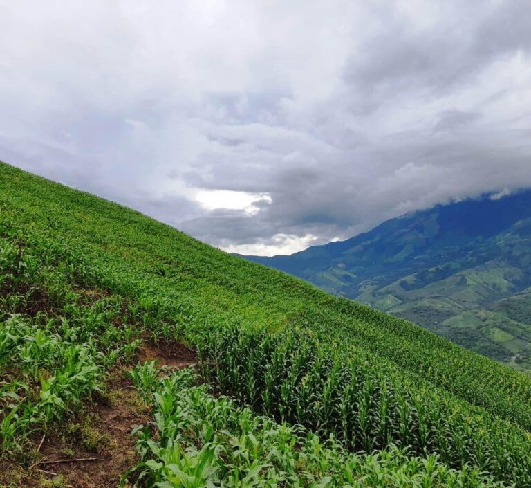 Producción agrícola y turismo rural se conectan en una nueva iniciativa