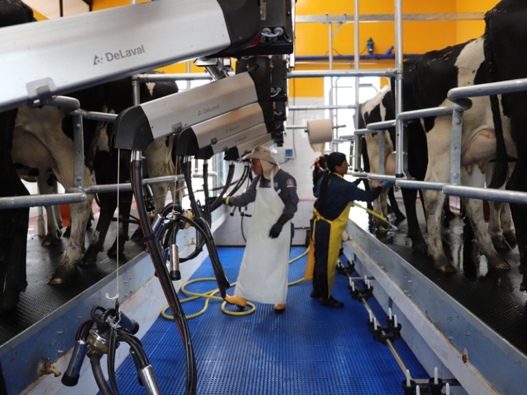 ECUADOR: Centro experimental de la UPEC obtiene certificación sanitaria bovina