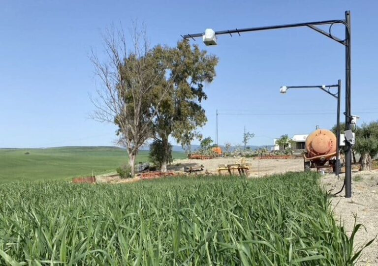 Crean una plataforma inteligente que  ahorra un 32 % de agua
