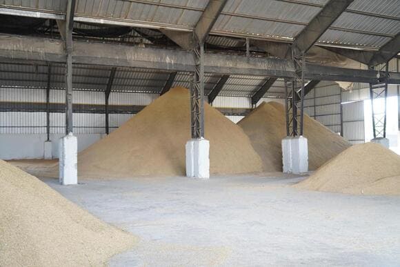 ECUADOR: Compra estatal de arroz arranca con 3.537 productores inscritos, según el MAGP