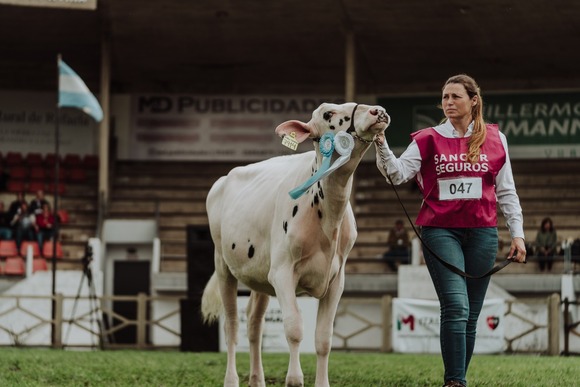 ECUADOR: Expo Feria ganadera Ambato destaca en genética lechera