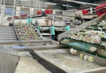 Innovación alarga vida de frutas