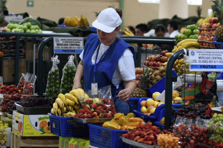 Ecuador: Agricultura familiar aporta 60 % de la canasta básica