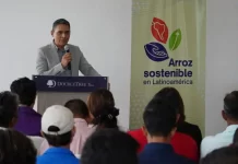 Ecuador implementa sistema MRV para el cultivo de arroz