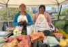 ECUADOR: Gobierno crea registro para mujeres emprendedoras no formalizadas