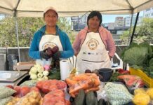 ECUADOR: Gobierno crea registro para mujeres emprendedoras no formalizadas