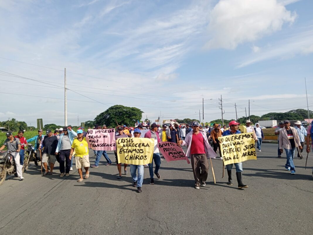 ARROCEROS, MARCHAN A LA GOBERNACIÓN DE LOS RIOS?