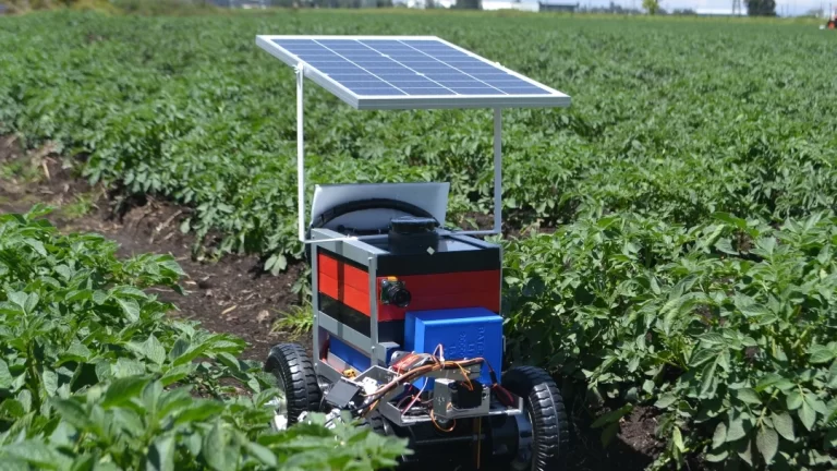COLOMBIA: Robot desarrollado por  una  Universidad  promete mejorar el cultivo de papa