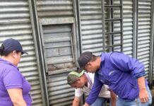 ECUADOR: Productores piden priorizar maíz nacional y convocar Consejo
