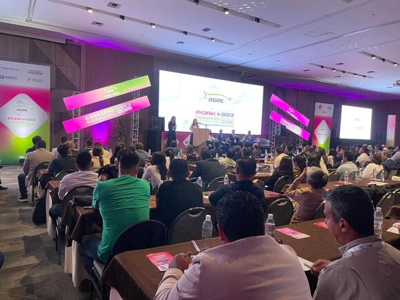 ECUADOR: Innovación y crecimiento marcan el pulso del PORK593 en Cuenca