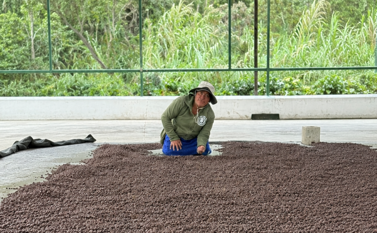 ECUADOR: Mujeres cafetaleras debutan mañana en AgroExpo 2026