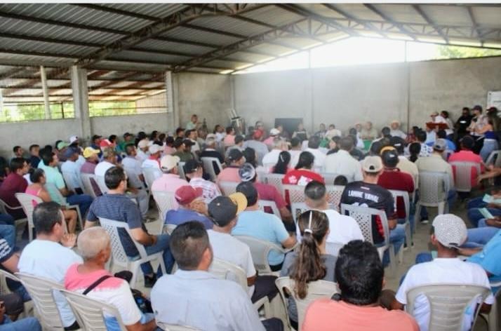 ECUADOR: Productores de maíz quedan atrapados por las deudas